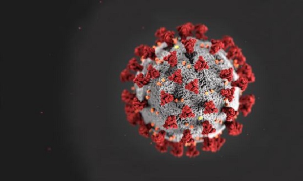 A coronavirus molecule. (Courtesy photo from the CDC)