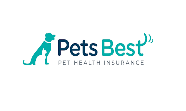 Best pet insurance store companies