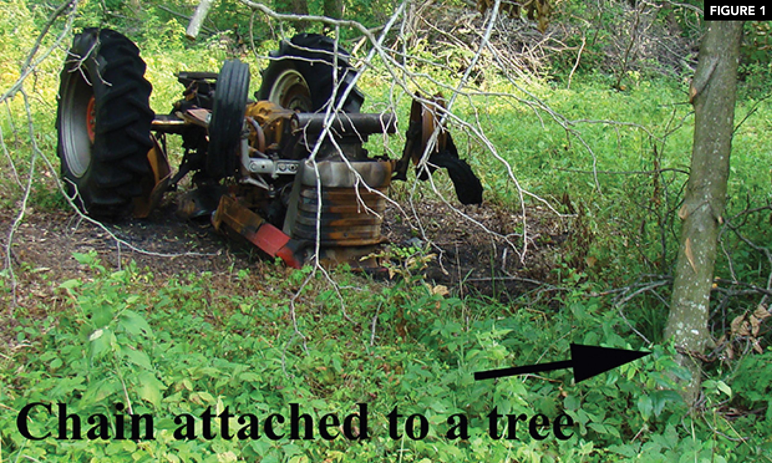 Chain from tractor to tree.