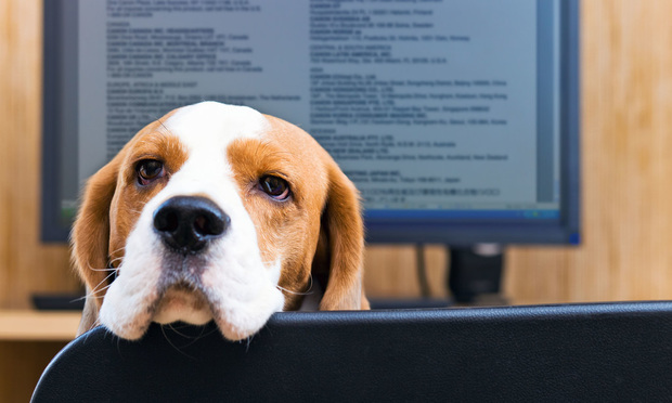 Pet insurance regulations vary widely state-by-state, NAIC reports, with some having clear language around limits, waiting periods and deductibles. Others have no pet insurance laws on the book. (Credit: Igor Normann/Shutterstock.com)