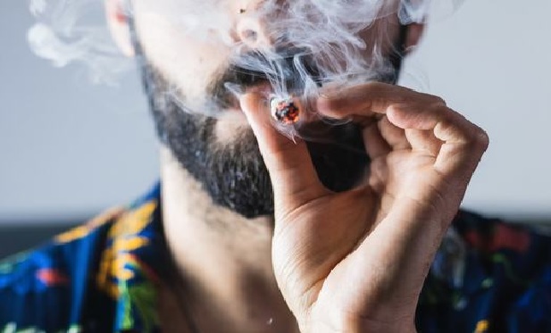 Cannabis consumption lounges grow in popularity.