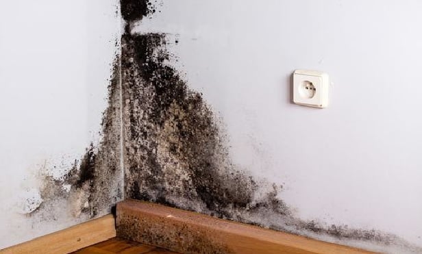 Perhaps the tricky part of handling water damage claims is the advice to prohibit mold growth while simultaneously protecting the scene for the appraiser to inspect the damage and write an estimate.