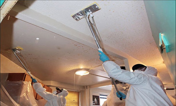 New York City Housing Authority contractors remediate mold at LaGuardia Houses in Manhattan.