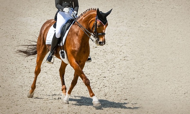 A rider and horse participating in dressage.