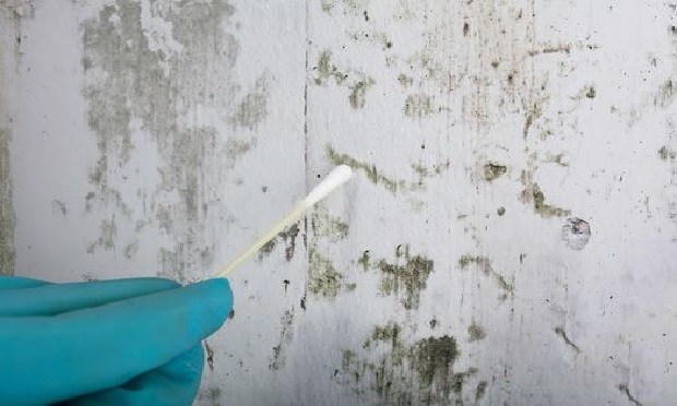 One type of sampling method that is routinely misrepresented is the surface sample. Most surface samples are collected by applying a swab or piece of clear tape onto a surface. These samples aid in the determination that fungal growth or contamination is present on the specific surface sampled.