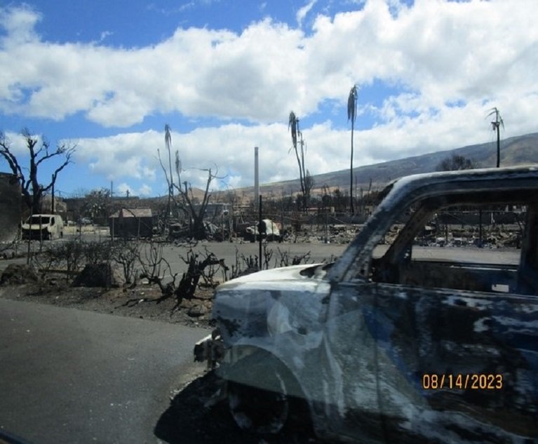 Burned out vehicles on Maui.