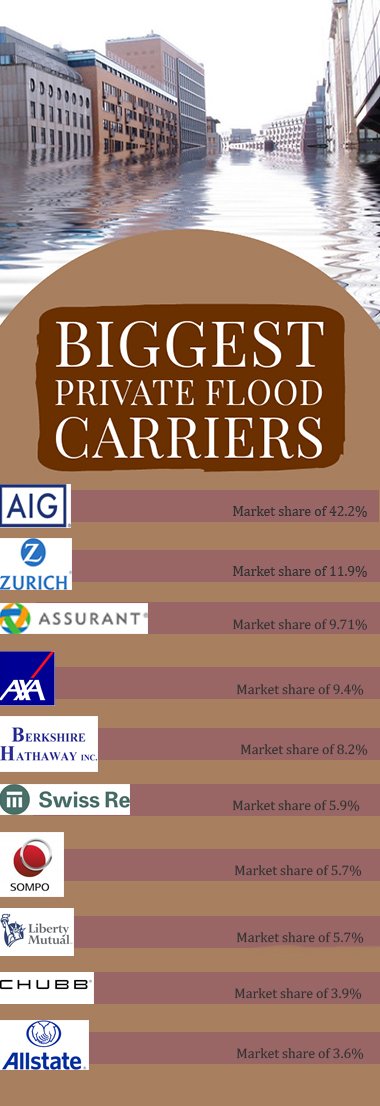 The 10 largest U.S. private flood insurance carriers in 2022 based on market share, according to the Insurance Information Institute. Photo credit: Petrov Stanislav/Shutterstock.com