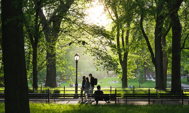 New York City has a budget of around $600 million per year to maintain its portfolio of parks and trees. (Credit: Ryland West/ ALM)