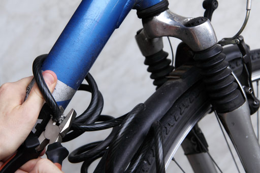 homeowners insurance bike theft