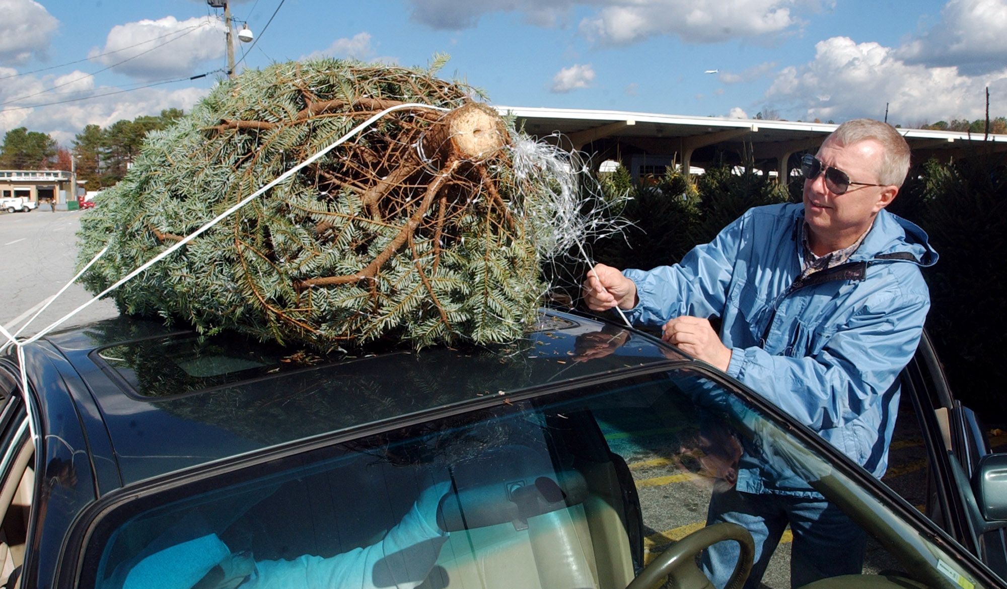 9 tips to get your Christmas tree home safely without