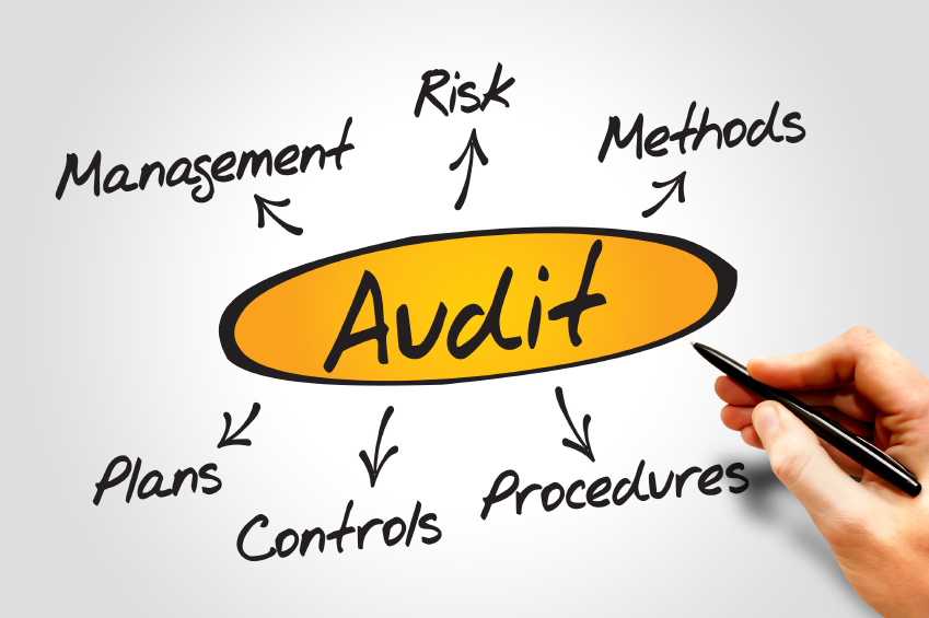 A look at how internal auditors uncover hidden risks | PropertyCasualty360