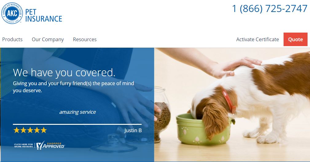 AKC Pet Insurance