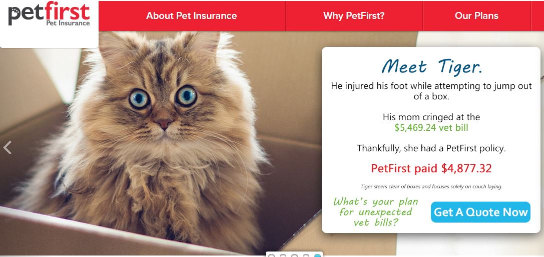 PetFirst Pet Insurance