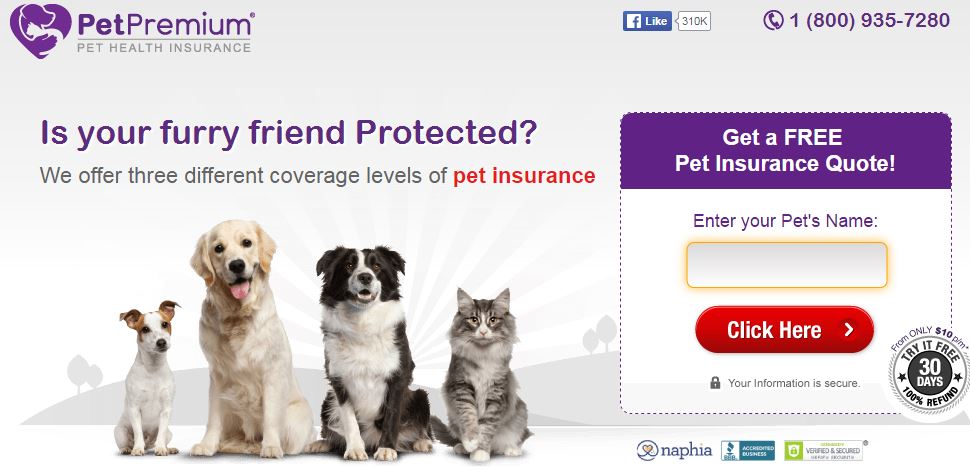 PetPremium Pet Insurance